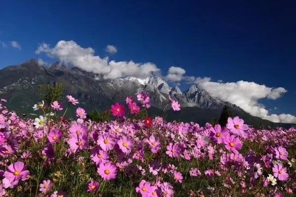 春词小令六首~文/梧桐
