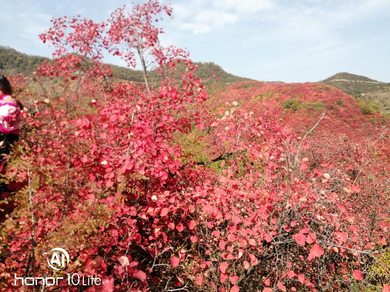 我是雪花（图3）