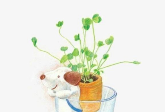 过把豆芽瘾‖作者:朱艳红（图2）