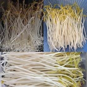过把豆芽瘾‖作者:朱艳红（图5）