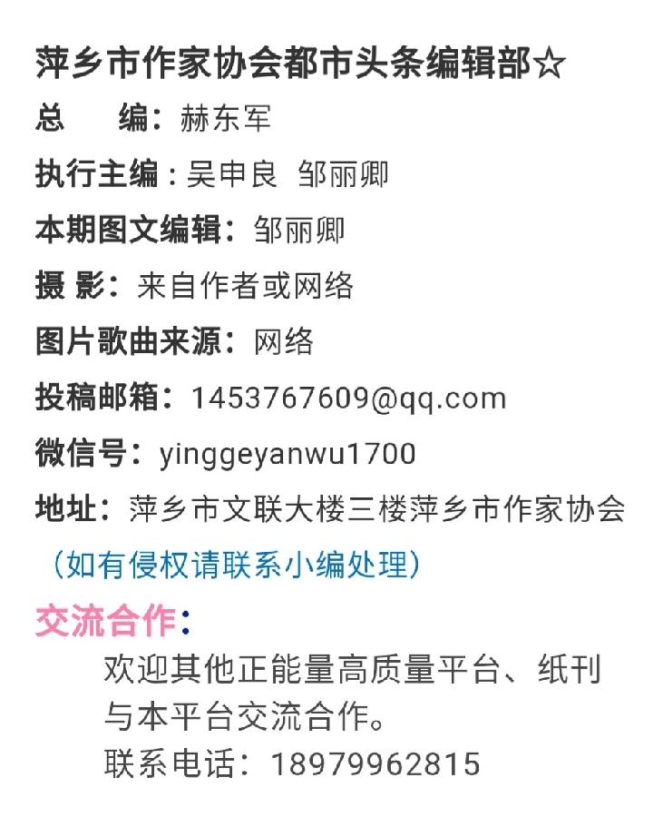 过把豆芽瘾‖作者:朱艳红（图9）