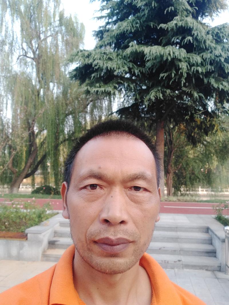 七律 学诗 文 心尘