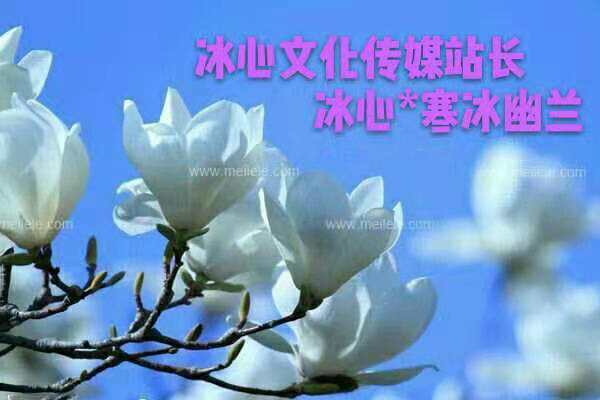 《欢颜》 作者|陈鸣呜【冰心文化传媒】(图3)