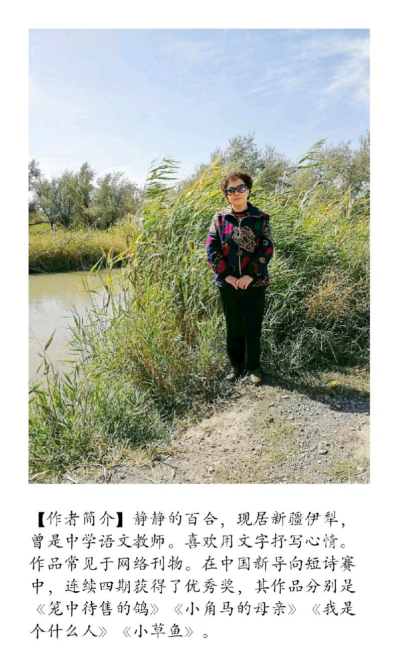 【诗生活】中长诗选粹‖春天的脚步 文/静静的百合（图2）