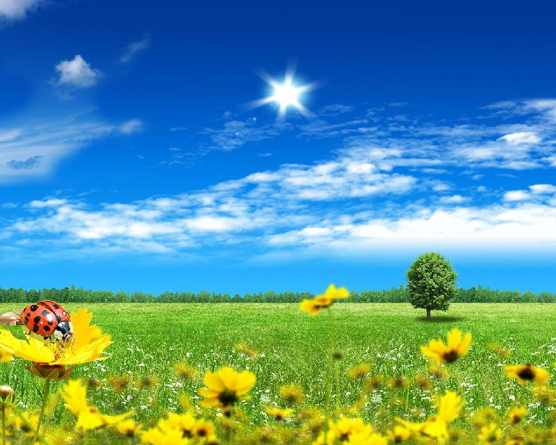 【冰心文化传媒】 原创首发诗歌四首 作者 李芳中（图3）